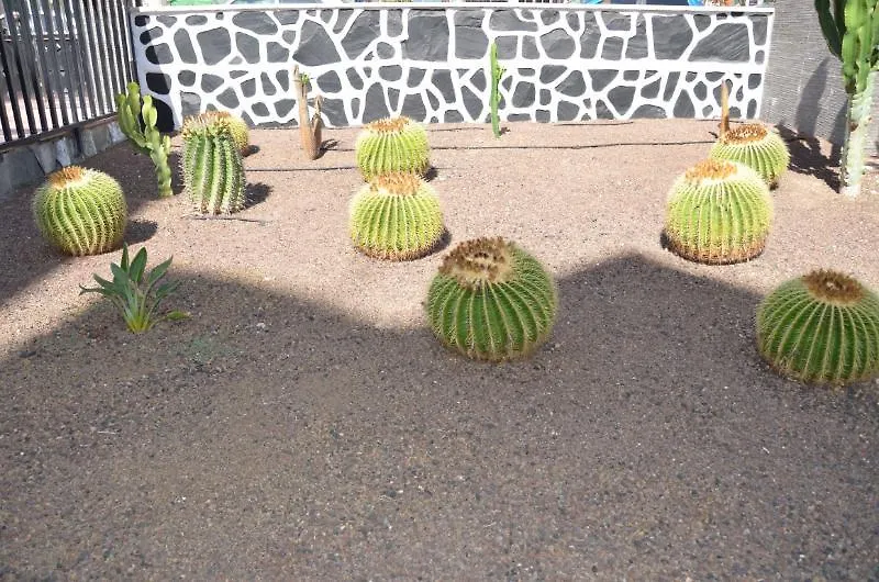 Los Cactus-1