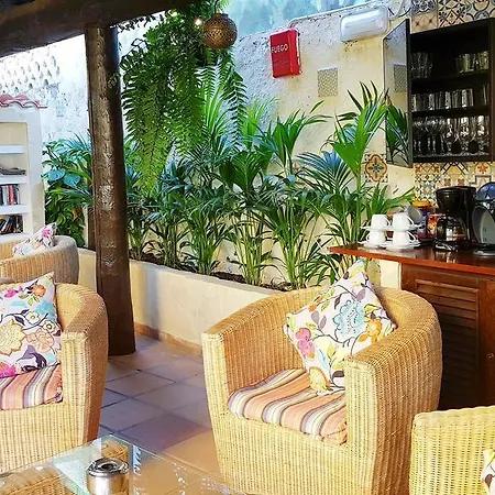 Apartamentos Vip Nogal - Adults Only-3